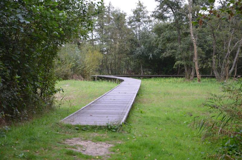 Nationaal Park Zwin in Knokke Heist. Belgie. 