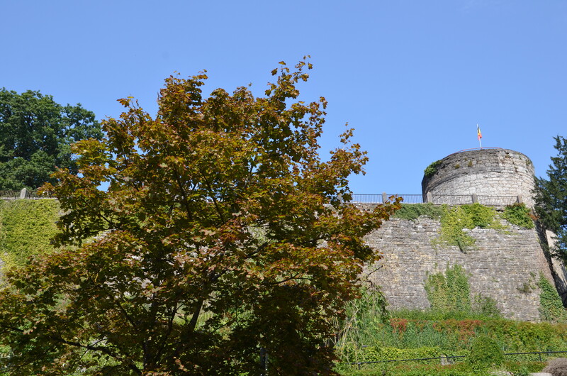 Ruïnes van het kasteel van Comtal in Rochefort. België. 