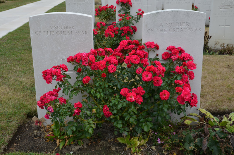 Tyne Cot begraafplaats in België. Tyne Cot begraafplaats in België. 